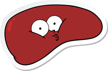 Bir insan tarafından çizilmiş karaciğerin çıkartması.