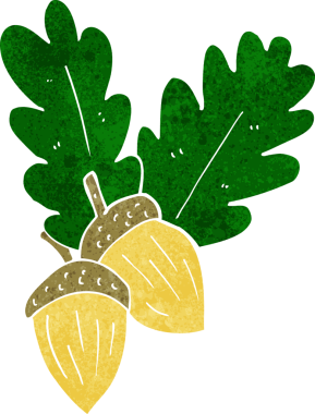 Bir insan tarafından çizilmiş meşe palamutları.