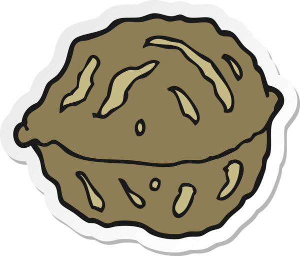 Bir insan tarafından çizilmiş ceviz kabuğunun çıkartması.