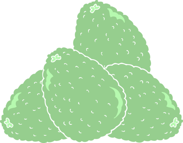 Bir insan tarafından çizilen avokadoların düz renk çizimi