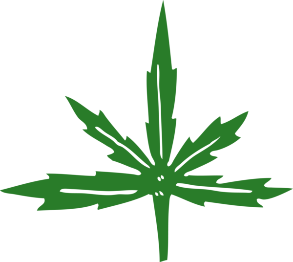 bir insan tarafından çizilmiş marihuana yaprağı karalaması