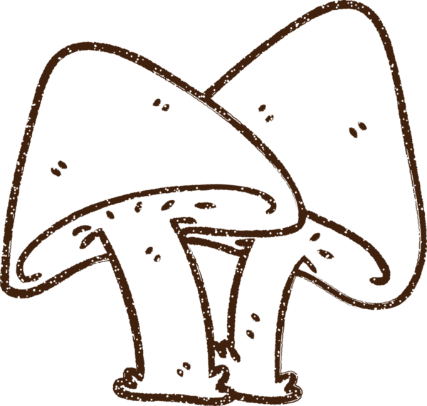 Bir insan tarafından çizilmiş mantar kömürü.