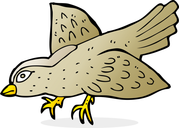 Bir insan tarafından çizilmiş çizgi film kuşu.