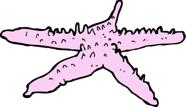 bir insan tarafından çizilmiş bir denizyıldızı.