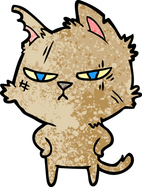 Bir insan tarafından çizilmiş sert çizgi film kedisi.