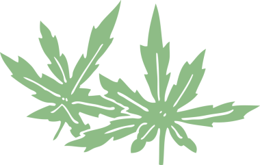 Bir insan tarafından çizilmiş marihuana yaprakları.