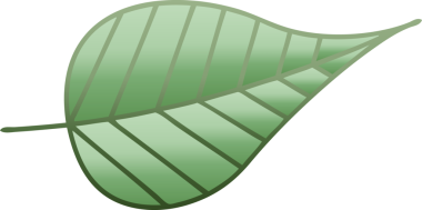 Bir insan tarafından çizilmiş yeşil yaprağın gölgeli çizgi filmi.