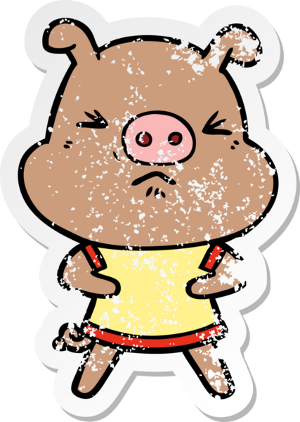 Bir insan tarafından çizilmiş tişört giymiş kızgın bir domuzun sıkıntılı çıkartması.