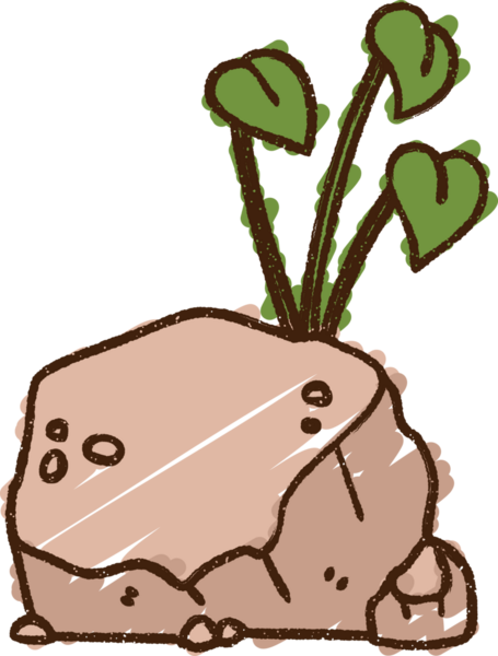 Bir insan tarafından çizilen kaya tebeşiri