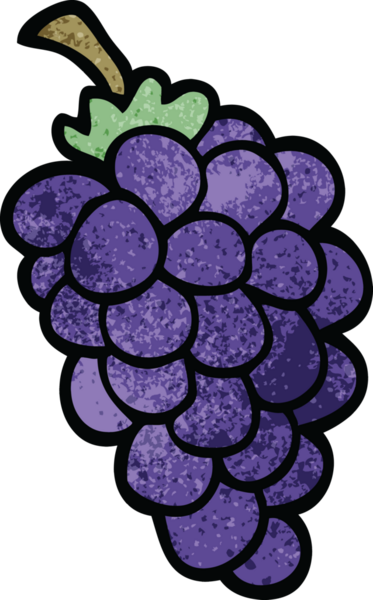 Bir insan tarafından çizilmiş bir demet üzüm.