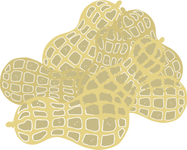 Bir insan tarafından çizilmiş yerfıstığının düz renk çizimi