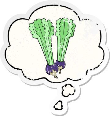 Düşünce baloncuklu pancar kökü insan tarafından çizilmiş yıpranmış bir çıkartma.