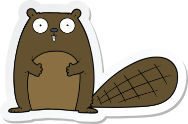 Bir insan tarafından çizilmiş bir kunduzun çıkartması.