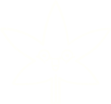 Bir insan tarafından çizilmiş marihuana Yaprak Tebeşiri