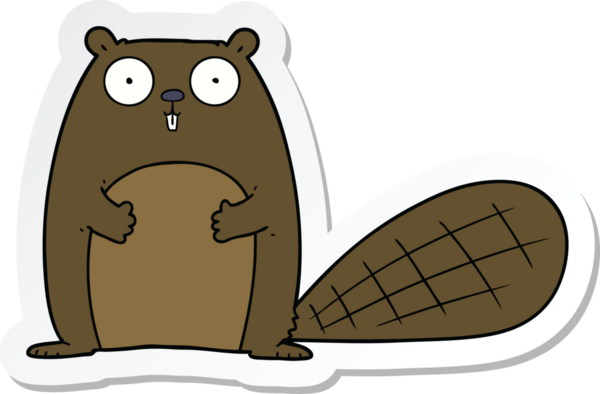 Bir insan tarafından çizilmiş bir kunduzun çıkartması.