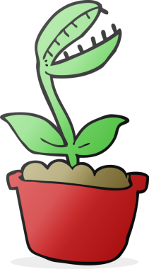 Bir insan tarafından çizilmiş serbest çizim Venüs sinek kapanı.