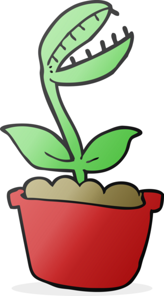 Bir insan tarafından çizilmiş serbest çizim Venüs sinek kapanı.