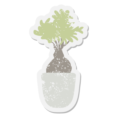 Bir insan tarafından çizilmiş bonsai ağacı grunge etiketi.