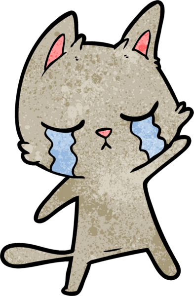 Bir insan tarafından çizilmiş ağlayan çizgi film kedisi.