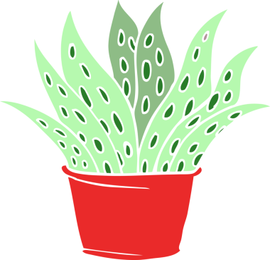 Bir insan tarafından çizilmiş karalama evi bitkisi.