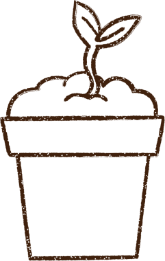 Bir insan tarafından çizilmiş saksı bitkisi kömürü çizimi