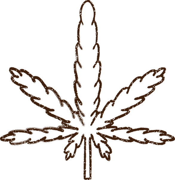 Bir insan tarafından çizilmiş marihuana yaprağı kömürü.
