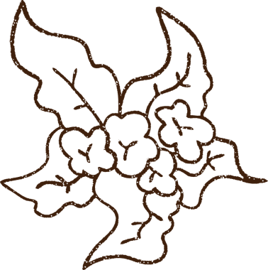 Bir insan tarafından çizilen Kömür Bitkisi