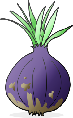 Bir insan tarafından çizilmiş serbest çizim soğan.