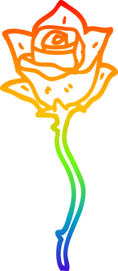 gökkuşağı gradyan çizgi çizimi bir insan tarafından çizilmiş kırmızı gül