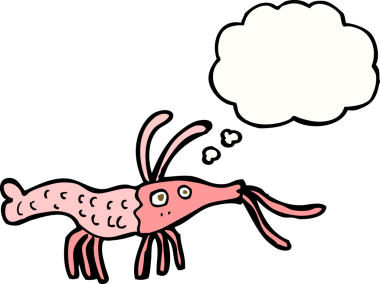 Bir insan tarafından çizilmiş düşünce baloncuklu karides.