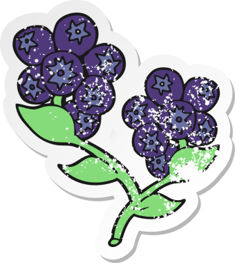 Bir insan tarafından çizilmiş yaban mersini çizgi filminin gerilimli yapıştırması.