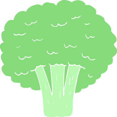 Bir insan tarafından çizilmiş brokolinin düz renk çizimi