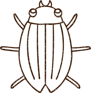 Bir insan tarafından çizilen Böcek Kömürü