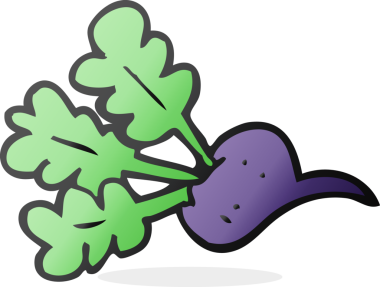 Bir insan tarafından çizilmiş pancar pancarı.