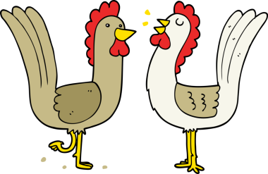 Bir insan tarafından çizilmiş çizgi film tavukları.