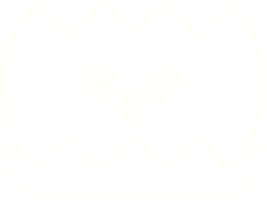 Bir insan tarafından çizilen nilüfer çiçeği tebeşiri.