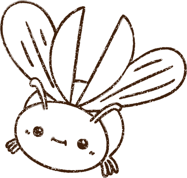 Bir insan tarafından çizilen Uçan Böcek Kömürü Çizimi