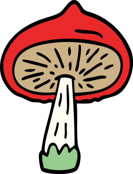 Bir insan tarafından çizilmiş karalama mantarı.