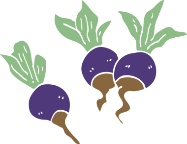 Bir insan tarafından çizilmiş pancar pancarı bitkileri.