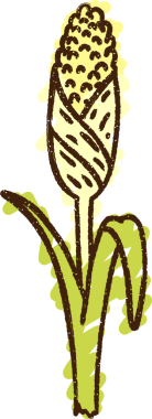 Bir insan tarafından çizilmiş Mısır Sapığı Tebeşiri