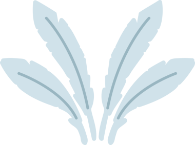 Bir insan tarafından çizilmiş bir dizi tüy.