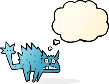 Bir insan tarafından çizilmiş düşünce balonlu korkmuş kedi çizgi filmi.