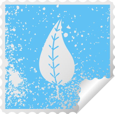 Bir insan tarafından çizilmiş yeşil yaprağın kareli kabuk soyma etiketi.