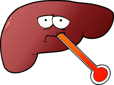 Bir insan tarafından çizilmiş sağlıksız karaciğer.