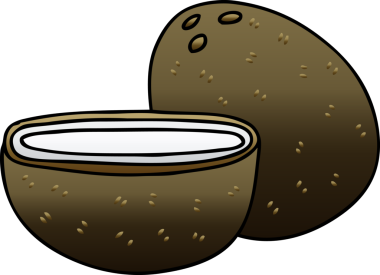 bir insan tarafından çizilmiş gölgelenmiş garip hindistan cevizi.