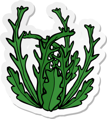 Bir insan tarafından çizilmiş bir deniz yosununun çıkartması.