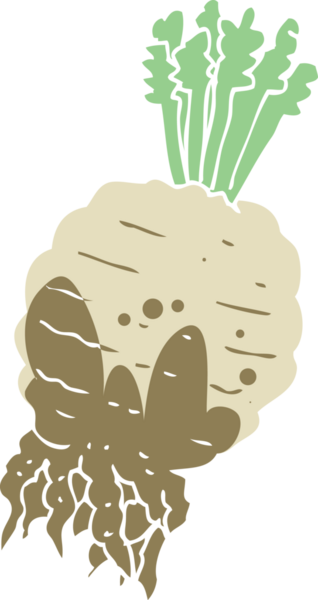 Bir insan tarafından çizilmiş çamurlu şalgamın düz renk çizimi