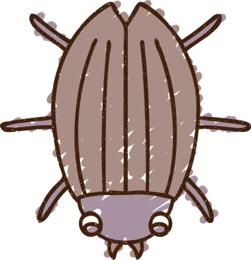 Bir insan tarafından çizilen Böcek Tebeşiri