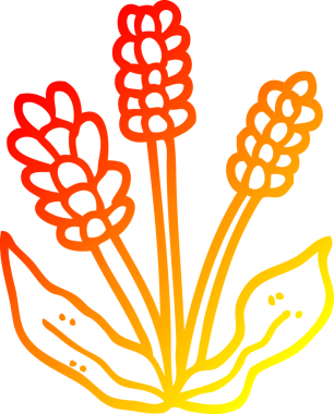 Bir insan tarafından çizilmiş bir lavantanın sıcak çizgi çizimi