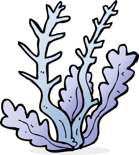cartoon seaweed drawn by a human